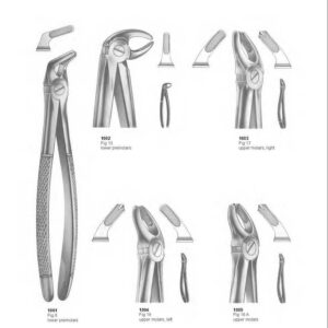 D001 Dental Extracting Forceps English Pattern lower molars