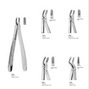 D006 Dental extracting forceps for children upper molars upper incisors upper roots