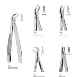 D014 Dental Extracting Forceps English Pattern lower decayed molars or broken down crowns