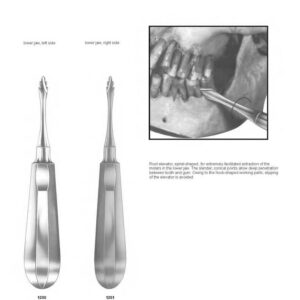 D030 Dental Root Elevators lower jaw left side right side