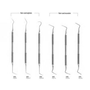 D084 Endodontic instruments root canal explorers and excavators
