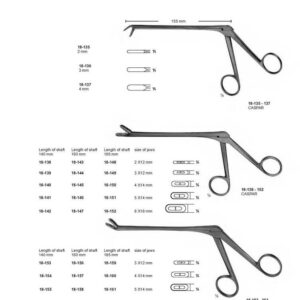 G310 Rongeurs Caspar