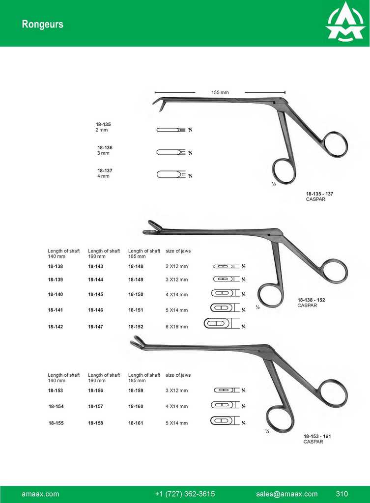 G310 Rongeurs Caspar