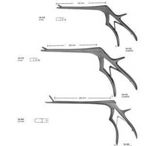 G313 Rongeurs Caspar Wagner