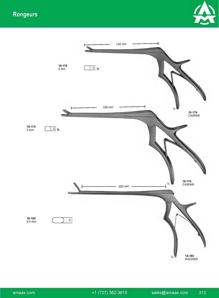 G313 Rongeurs Caspar Wagner